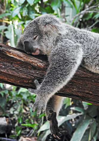 Australia Photography